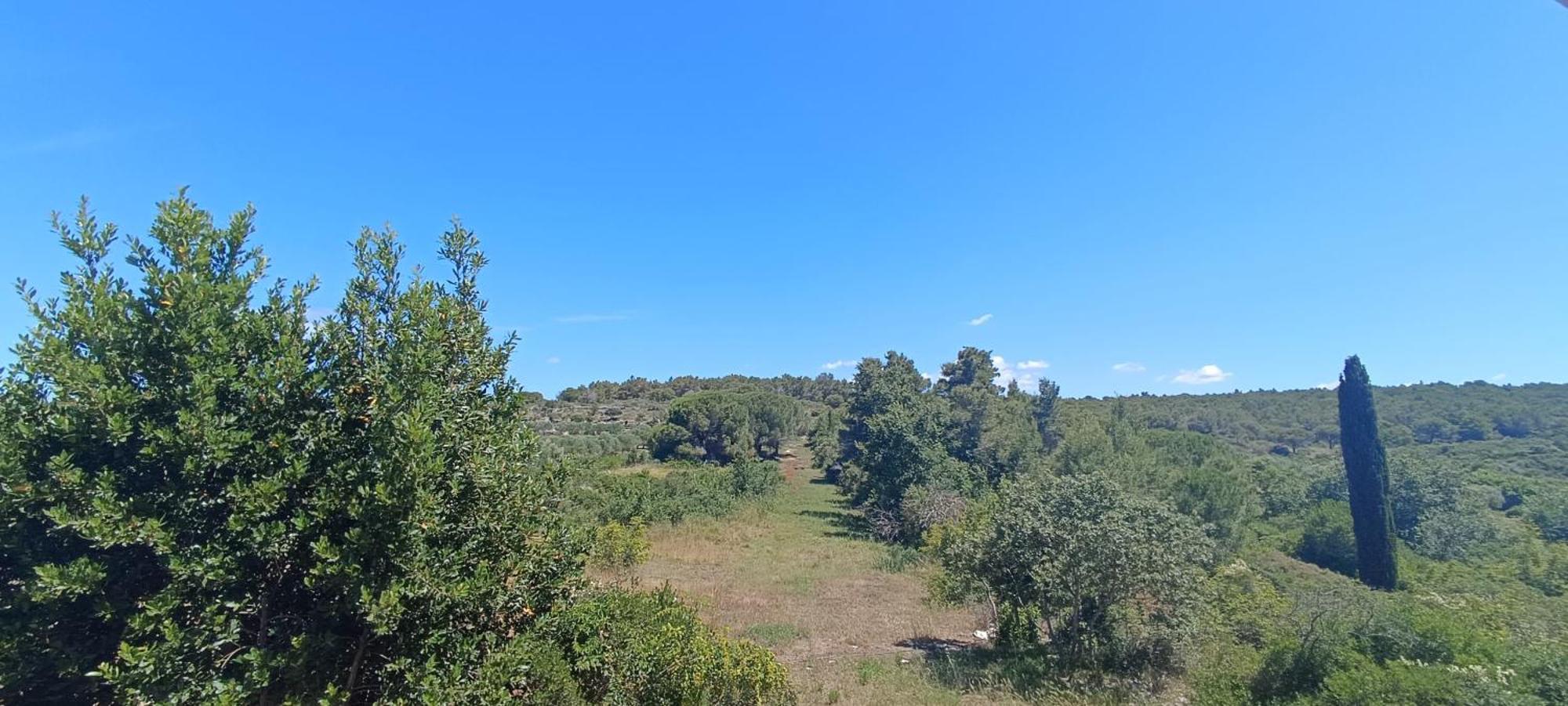 זאדאר Apartmani Verde מראה חיצוני תמונה