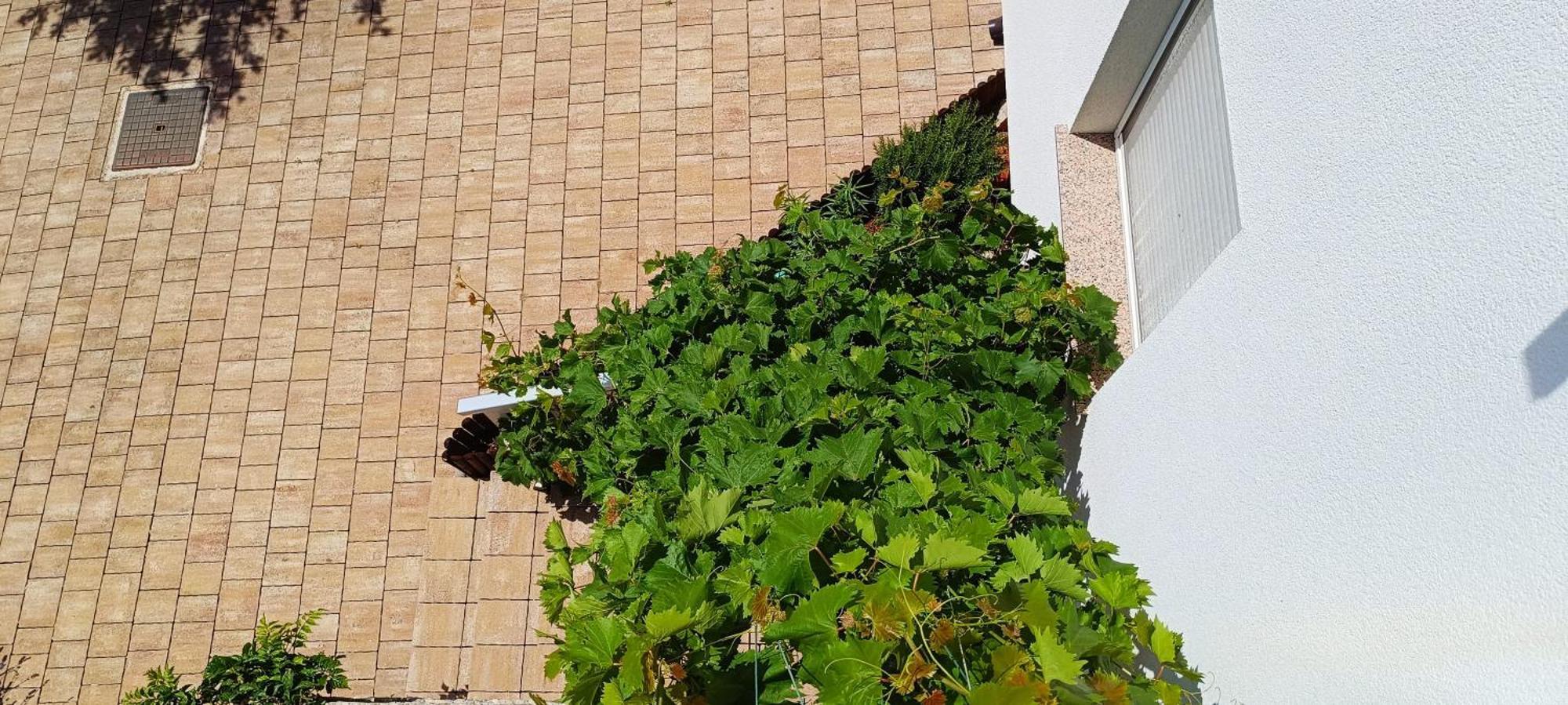 זאדאר Apartmani Verde מראה חיצוני תמונה
